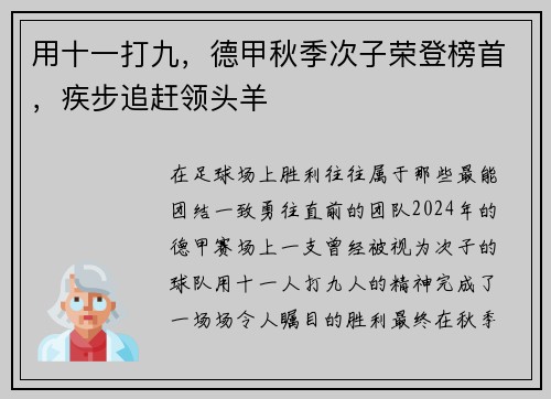 用十一打九，德甲秋季次子荣登榜首，疾步追赶领头羊