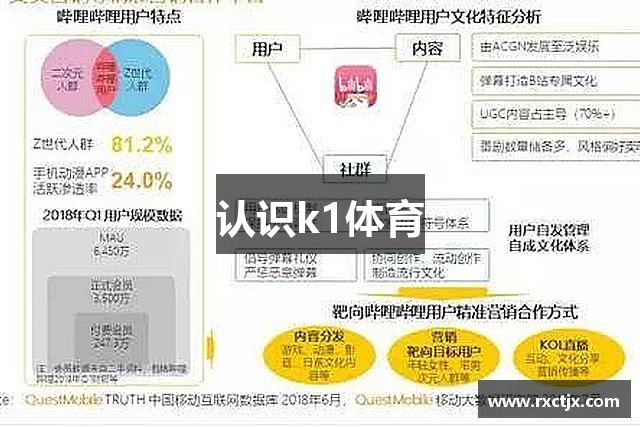 认识k1体育